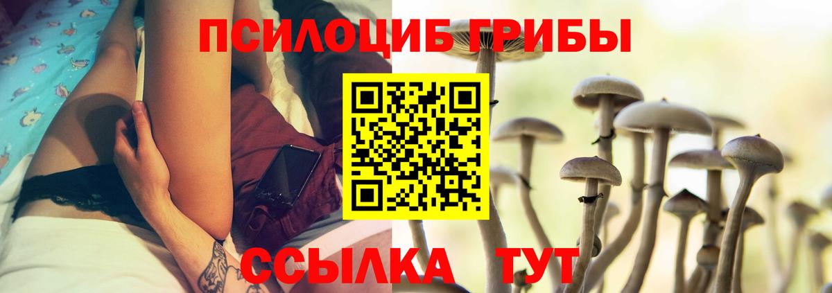 Галлюциногенные грибы Psilocybe Кулебаки