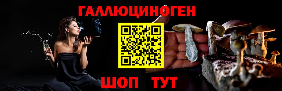 Кулебаки  Псилоцибиновые грибы MAGIC MUSHROOMS  Вход с VPN 